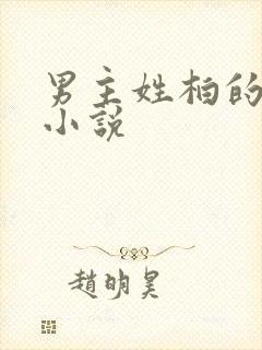 男主姓柏的总裁小说