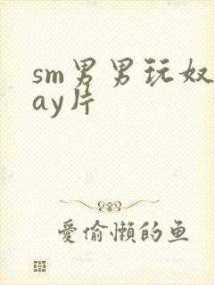 sm男男玩奴gay片封面