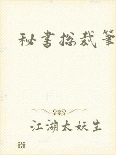 秘书总裁笔趣阁