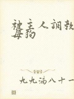 被主人调教的骚母狗