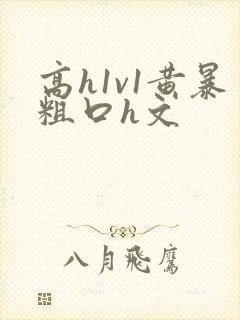 高h1v1黄暴粗口h文