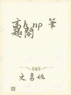 高h np 笔趣阁封面