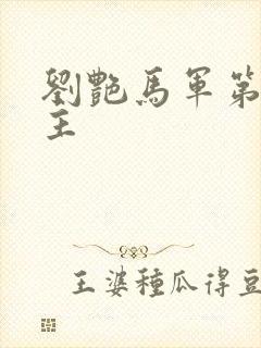 刘艳马军第一版主