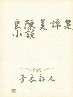 良陈美锦是什么小说封面