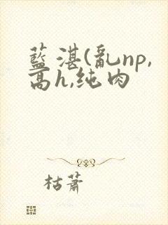 蓝湛(乱np,高h,纯肉