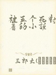 被五个死对头压着的小说