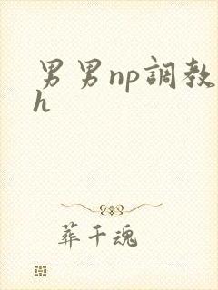 男男np调教高h