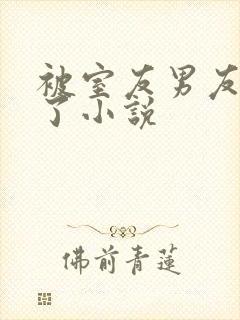 被室友男友认错了小说封面