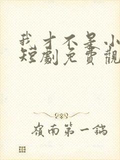 我才不是小可怜短剧免费观看全集