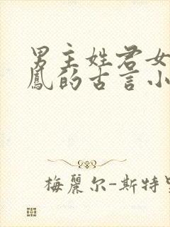 男主姓君女主姓凤的古言小说封面