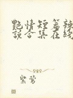 艳情短篇辣文小说合集在线阅读