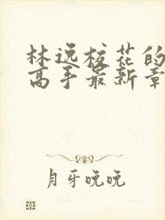 林逸校花的贴身高手最新章节免费阅读封面