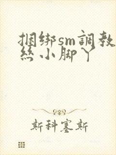 捆绑sm调教白丝小脚丫封面