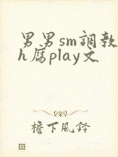 男男sm调教高h腐play文