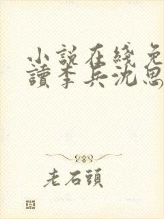 小说在线免费阅读李兵沈思