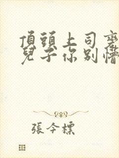 顶头上司变后妈儿子你别懵短剧全集大结局