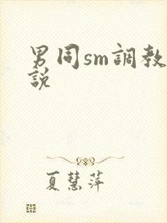 男同sm调教小说