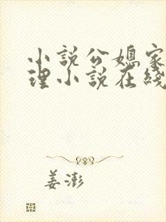 小说公媳家庭伦理小说在线阅读