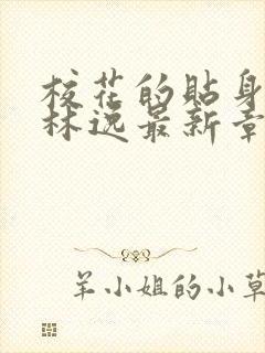 校花的贴身高手林逸最新章节免费阅读封面