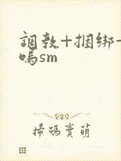 调教+捆绑+呜呜sm