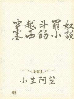 穿越斗罗奴役波塞西的小说