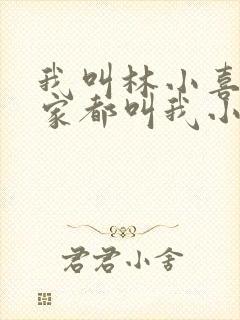 我叫林小喜 大家都叫我小喜小说