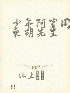 少年阿宾同人房东胡先生