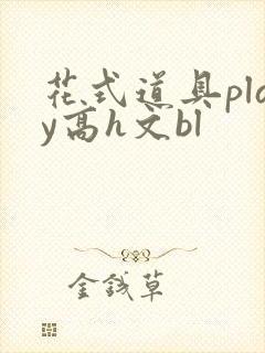 花式道具play高h文bl