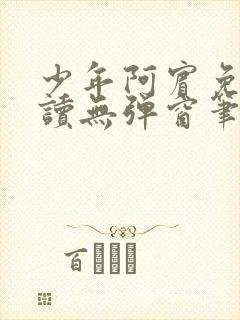 少年阿宾免费阅读无弹窗笔趣阁