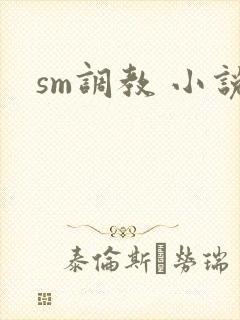 sm调教 小说