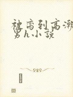 被脔到高潮的直男h小说