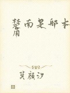 楚南是哪本书主角