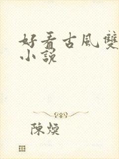 好看古风双男主小说封面