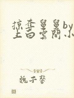 掠夺舅舅by远上白云间小说免费阅读笔趣阁封面