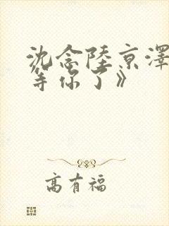 沈念陆京泽《不等你了》