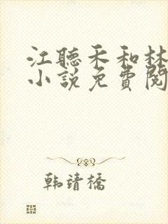 江听禾和林瑜的小说免费阅读封面