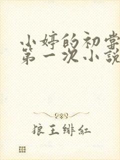 小婷的初尝黑人第一次小说