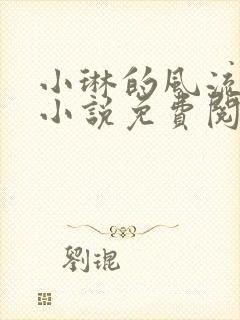 小琳的风流人生小说免费阅读