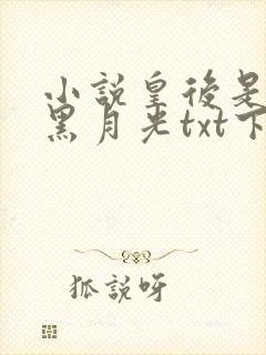 小说皇后是朕的黑月光txt下载