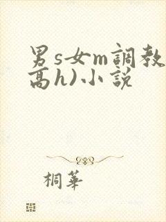 男s女m调教(高h)小说