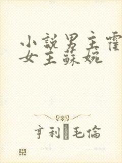 小说男主霍枭寒女主苏婉