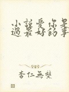 小说爱你是我做过最好的事