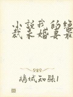 小说我的绝色总裁未婚妻最新章节