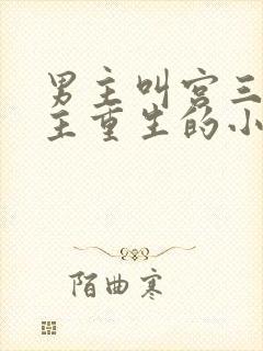 男主叫宫三爷女主重生的小说