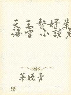 天王赘婿叶辰秦洛雪 小说免费阅读