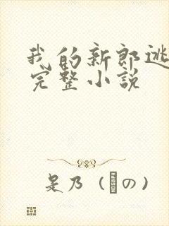 我的新郎逃婚了完整小说封面