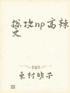 总攻np高辣h文封面