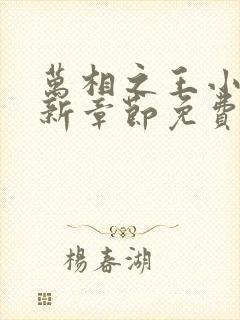 万相之王小说最新章节免费阅读