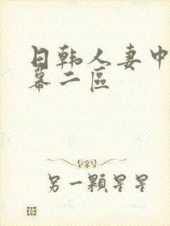 日韩人妻中文字幕二区