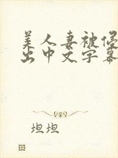 美人妻被侵犯中出中文字幕